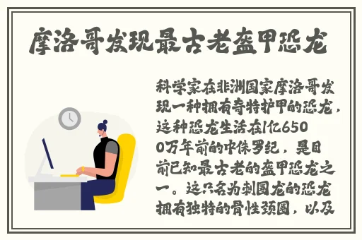 授课方式by肉馅小水饺
